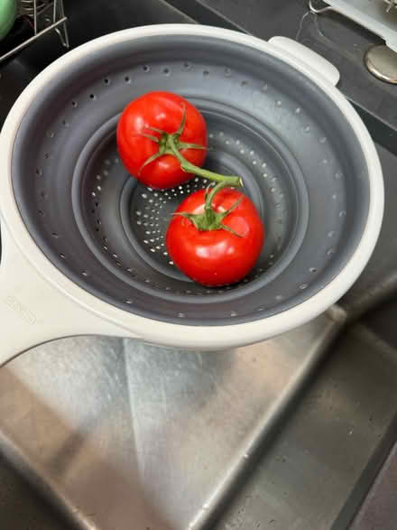 Photo of free Collapsible strainer (Cherry Chase Sunnyvale) #2
