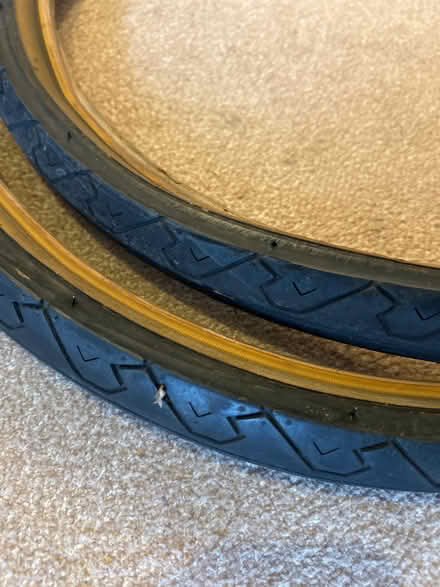 Photo of free Bike road tyres (pair) (Twickenham TW2) #2
