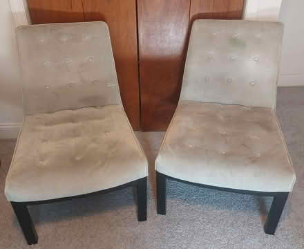 Photo of free 2 Slipper Chairs (Arlington MA) #1