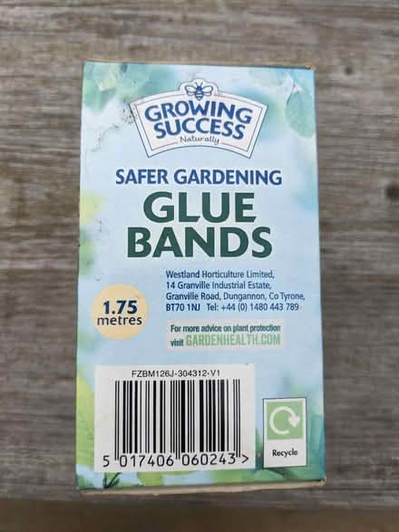 Photo of free Glue bands for trees (Staplehurst TN12) #4