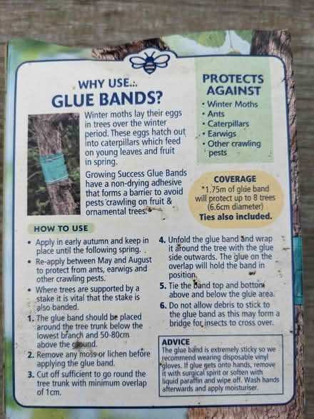 Photo of free Glue bands for trees (Staplehurst TN12) #3