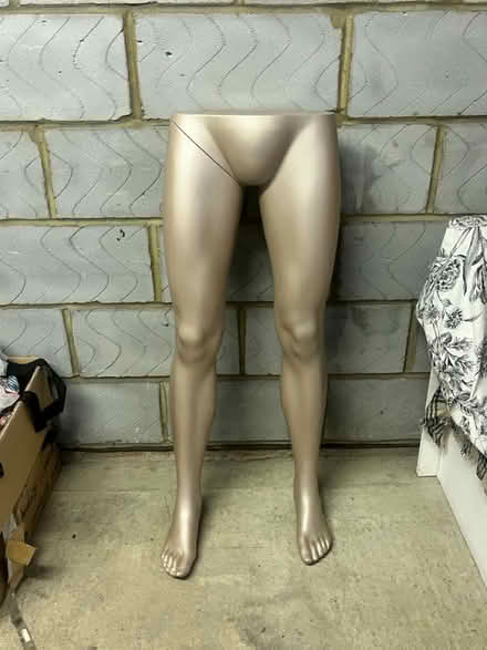 Photo of free Detached Male Mannequin Parts (Norwood SE27) #2