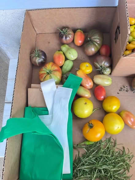 Photo of free Fresh veggies for the taking (Fair Lawn, NJ) #2
