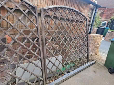 Photo of free Garden trellis (Newhaven BN9) #1