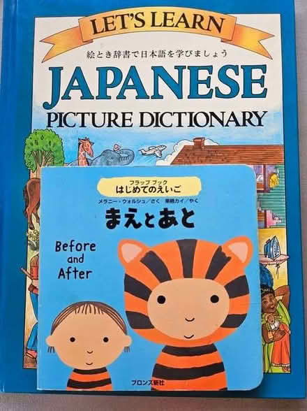 Photo of free Japanese childrens books, Portishead (Weston in Gordano BS20) #1