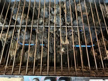 Photo of free gas barbecue (Willerby HU10) #3