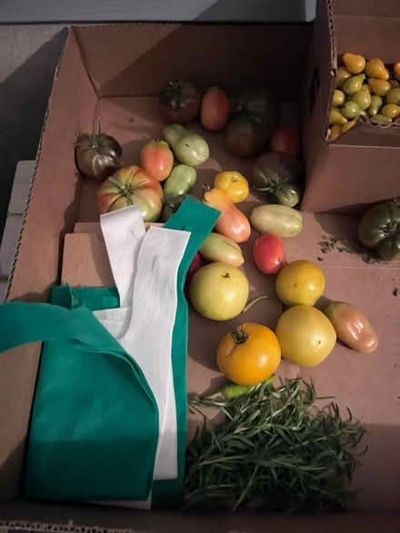 Photo of free Fresh veggies for the taking (Fair Lawn, NJ) #2
