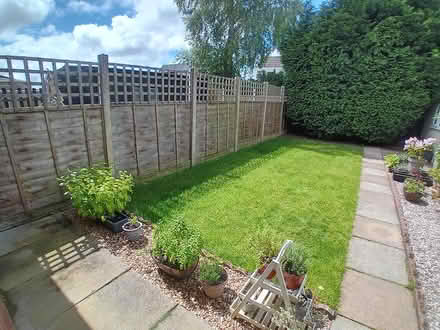 Photo of free Fence panels (6 +2 taller ones) (Penwortham PR1) #1