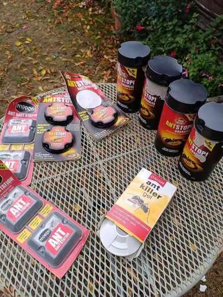 Photo of free Ant killer (Bray SL6) #1