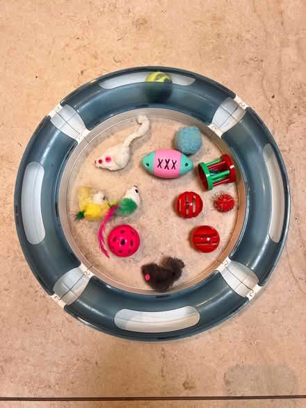 Photo of free Kitten toys (Clanfield OX18) #1