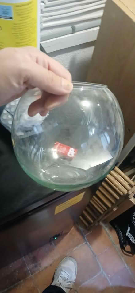 Photo of free Vases (Ramsgate CT11) #2