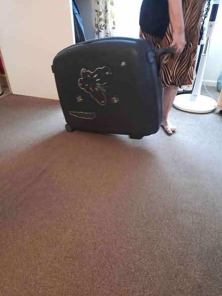 Photo of free Suitcases (Farnborough GU148TU) #2