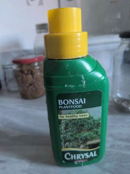 Photo of free Bonsai feed (Bonnington EH6) #1