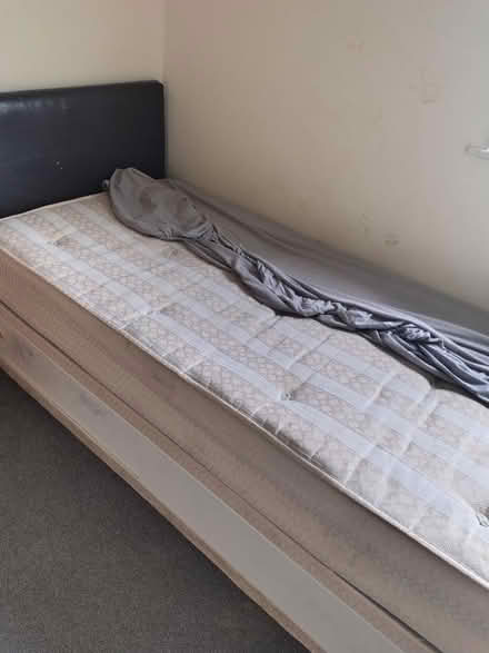 Photo of free Single bed and mattress (B18) #3