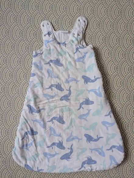 Photo of free Baby/toddler sleeping bags (Oxford OX3) #2