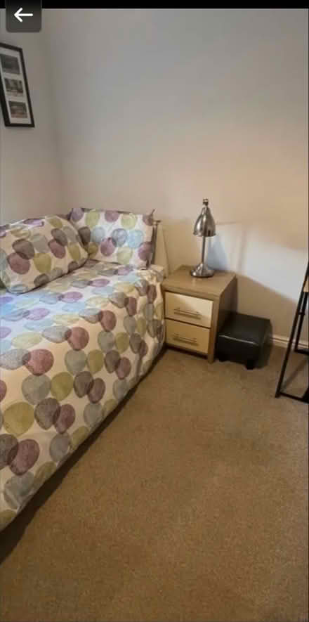 Photo of free Small bedside draws x 2 (Burbage SK17) #2