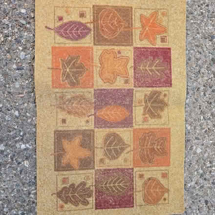Photo of free Floor mat (94041) #1