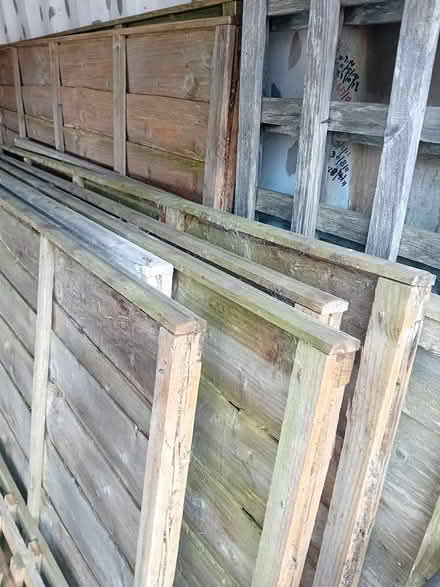Photo of free Fence panels (6 +2 taller ones) (Penwortham PR1) #4