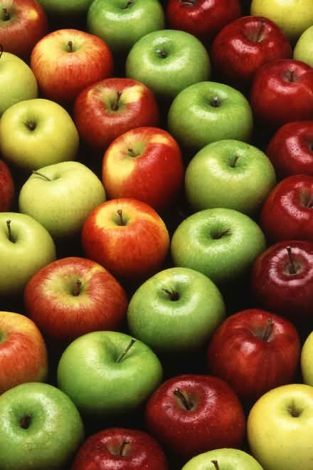 Photo of apples to try making cider (Liberton EH16) #1