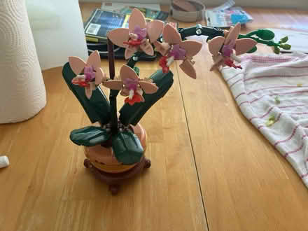 Photo of free Lego flower set (Los Gatos Blvd x Lark) #2