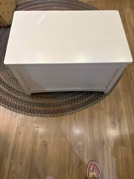 Photo of free Feather and black Noah toy box chest (Bledlow Ridge HP14) #2