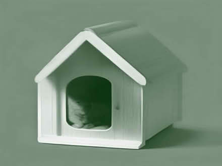 Photo of Dog/cat house (Ilford IG1) #1