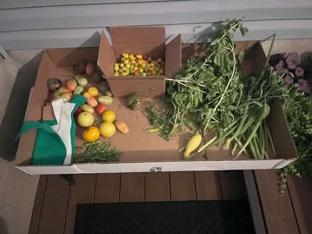 Photo of free Fresh veggies for the taking (Fair Lawn, NJ) #1