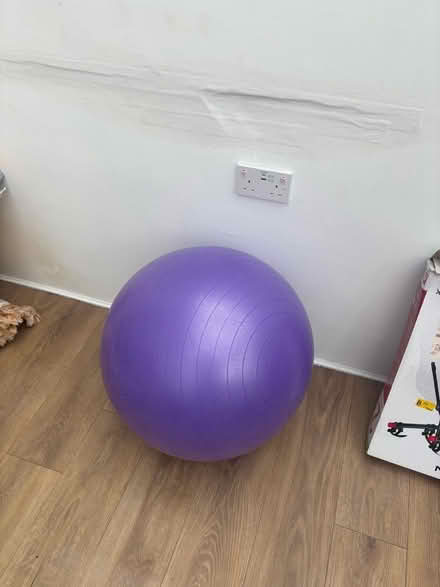 Photo of free Pilates/Exercise ball (Fleetville AL4) #1