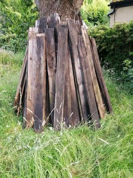 Photo of free large collection of old fencing planks (Eastfield PE1) #1