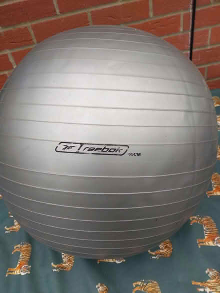 Photo of free Exercise ball (Newent GL18) #1