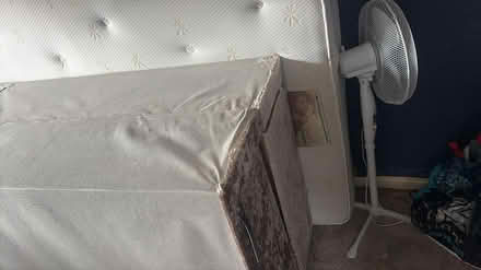 Photo of free king bed (Prestwich) #3