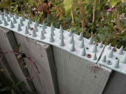 Photo of free deterrent spikes (Studley B80) #3