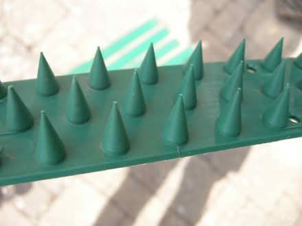 Photo of free deterrent spikes (Studley B80) #2