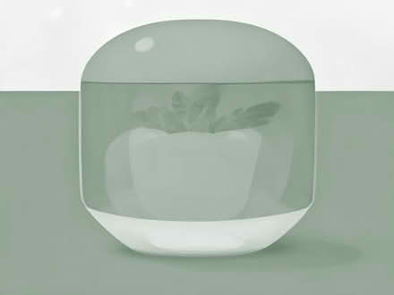 Photo of free Fresh fruit ready tonpick (Belvidere SY2) #1