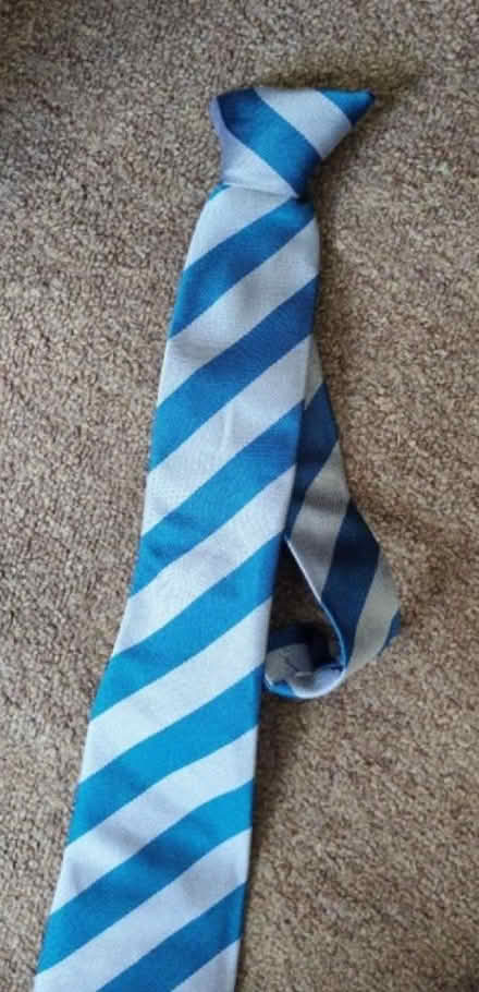Photo of free Daubeney tie (Kempston MK42) #1