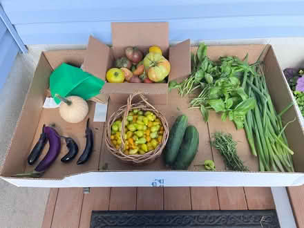 Photo of free Fresh veggies for the taking (Fair Lawn, NJ) #1