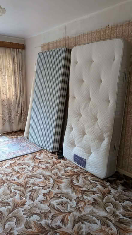 Photo of free Single divan bed and mattress (Theydon Bois CM16) #3