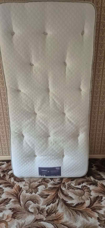 Photo of free Single divan bed and mattress (Theydon Bois CM16) #2