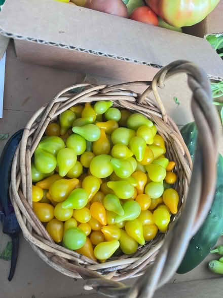 Photo of free Fresh veggies for the taking (Fair Lawn, NJ) #3