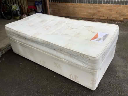 Photo of free Single bed (West Hallam) #3