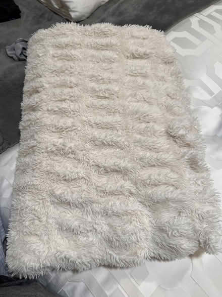 Photo of free Faux Fur Throw Blanket Ivory (Ventura, Palo Alto) #1