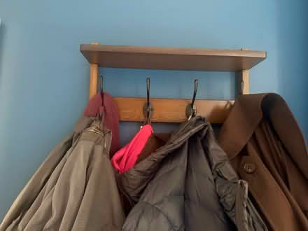 Photo of free Coat hooks and shelf (Camberley GU15) #1