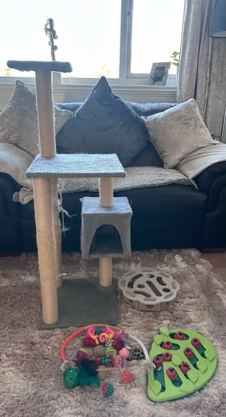 Photo of free Cat scratching post & cat toys (Sheldon B26) #1