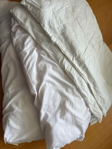 Photo of free Old pillows and baby duvet for dog? (Florence park OX4) #1