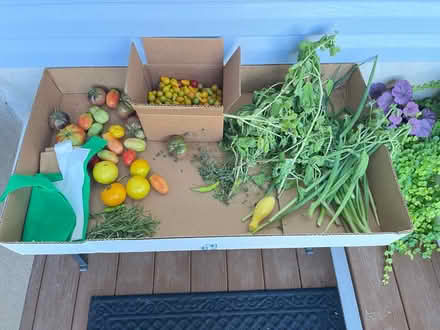 Photo of free Fresh veggies for the taking (Fair Lawn, NJ) #1
