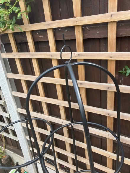Photo of free Garden Plant Obelisks (Basildon SS14) #4