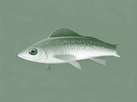 Photo of Fishing lures for Perch and pike (Greaves LA1) #1