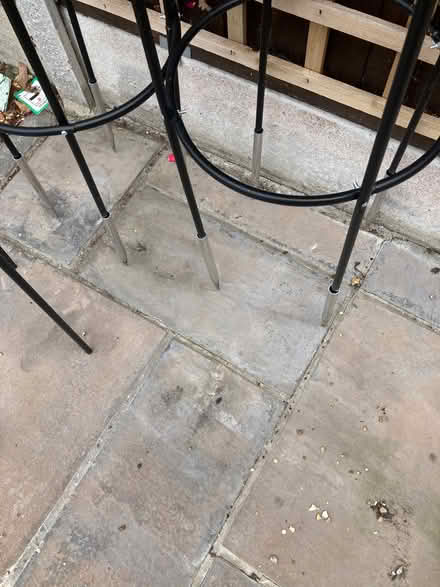 Photo of free Garden Plant Obelisks (Basildon SS14) #2