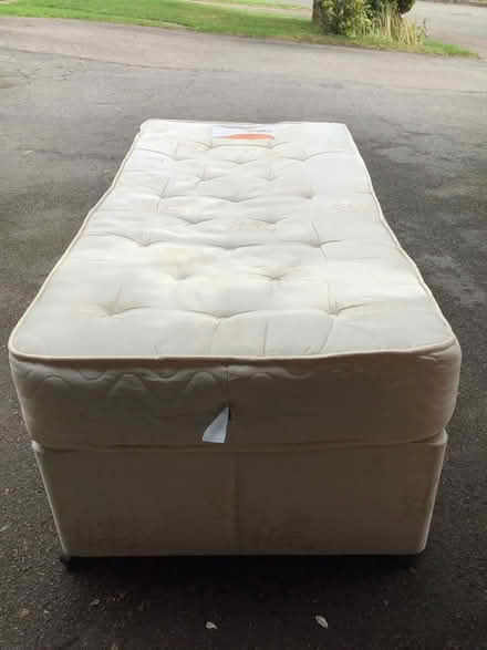 Photo of free Single bed (West Hallam) #4