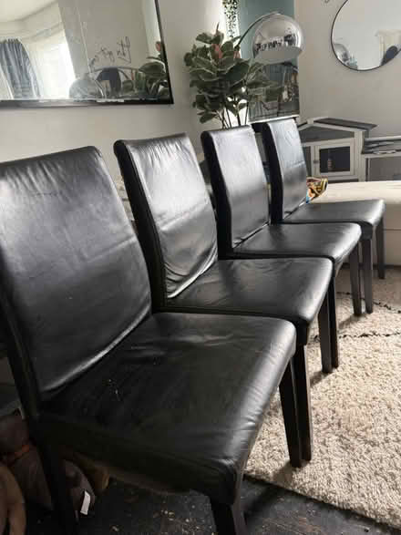 Photo of free 4 leather Habitat dining chairs (Sydenham SE26) #1